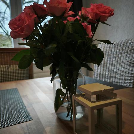 Hehlentor-City Gaeste Wohnung ツェレ エクステリア 写真