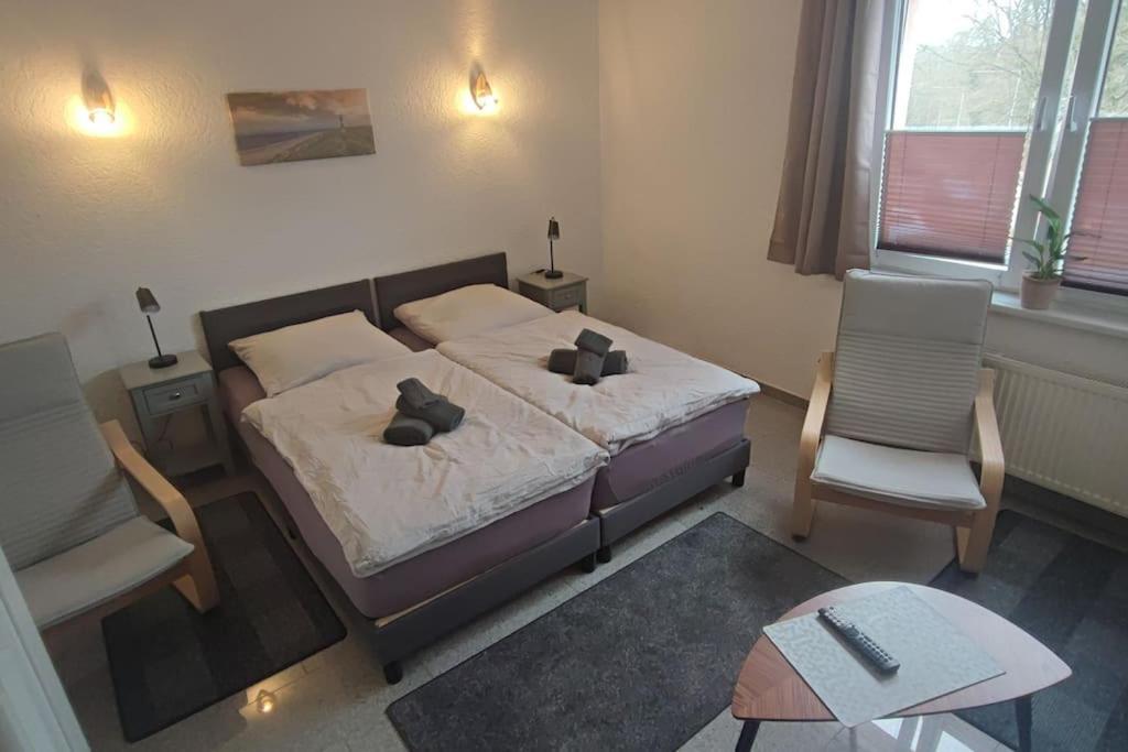 Hehlentor-City Gaeste Wohnung ツェレ エクステリア 写真