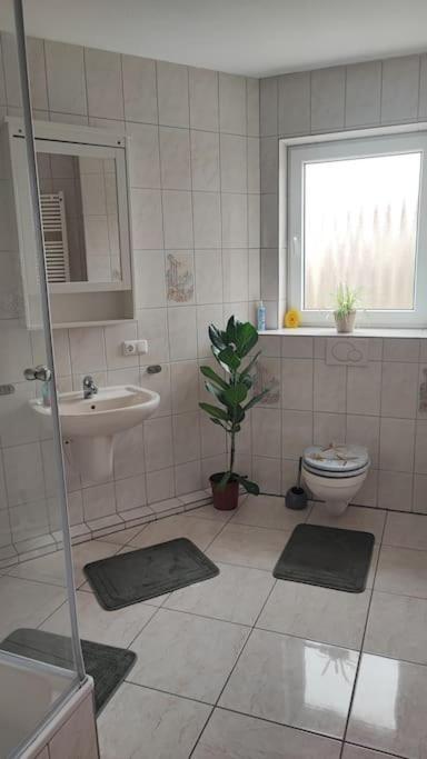 Hehlentor-City Gaeste Wohnung ツェレ エクステリア 写真