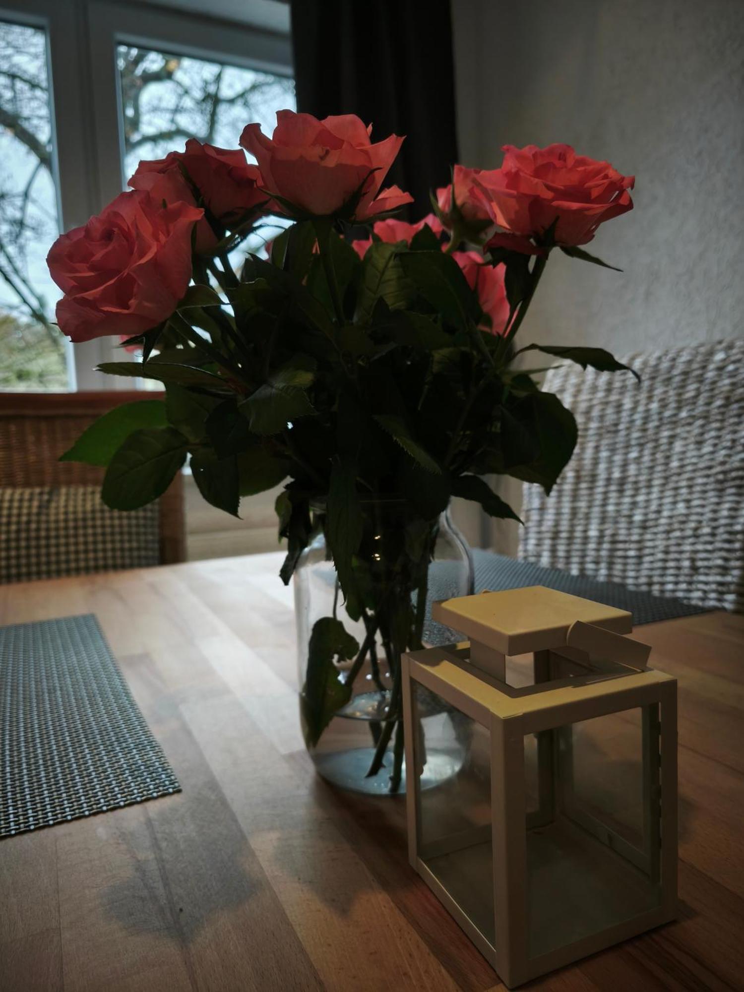 Hehlentor-City Gaeste Wohnung ツェレ エクステリア 写真